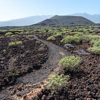 Chemin de randonnée à Malpaís de Güímar sur Tenerife