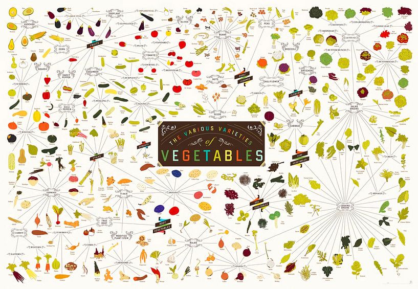 The Various Varieties of Vegetables Chart by Christopher Deitch