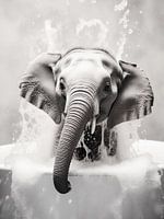 Bébé éléphant prenant un bain