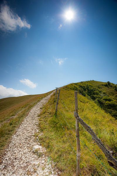 Monte Baldo IV van Leo van Valkenburg