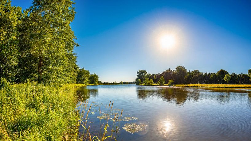 Sommer an der Ems von Günter Albers