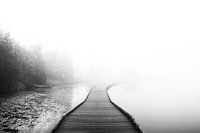 Paysage d'eau brumeuse