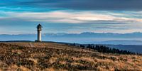 View to the Feldbergturm up to the Alps