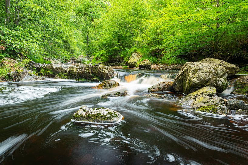 Verträumt von Leo Kramp Fotografie