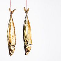 Hangende makrelen tegen een witte achtergrond