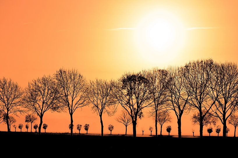 Sunrise at Bronkhorst by Arno Wolsink