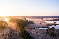 De Flaes in Esbeek (The Utrecht Estate)