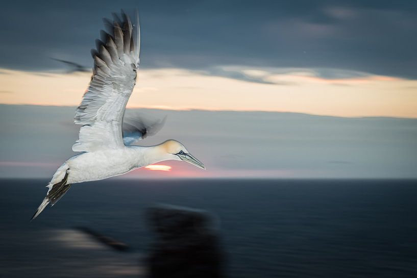 Jan van Gent in de vlucht von Peter Lambrichs