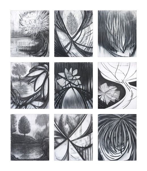 Geheimnisse aufgedeckt Serie 1 / 2009 von Hans Zantman