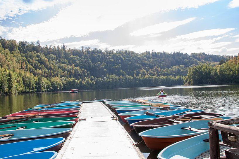 Gekleurde Stiefel von Marrit Molenaar