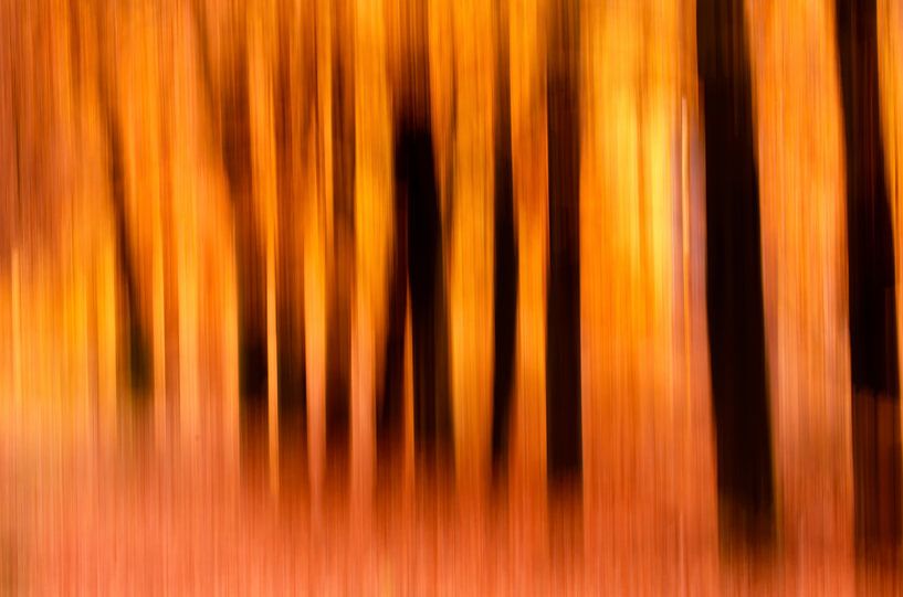 Blurred Lines von Roeselien Raimond