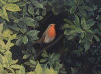 The Robin