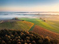 Aerial View of Foggy Sunrise Over Vineyards in South Limburg, Netherlands