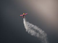 Extra 300 van de vliegende stieren