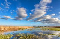 Wolkendecke über den Onlanden, Groningen
