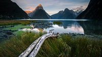 Milford Sound - Île du Sud, Nouvelle-Zélande