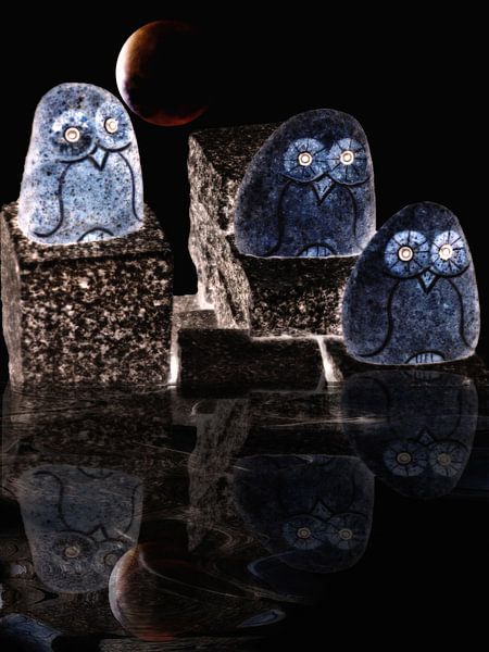 Night owls by Christine Nöhmeier