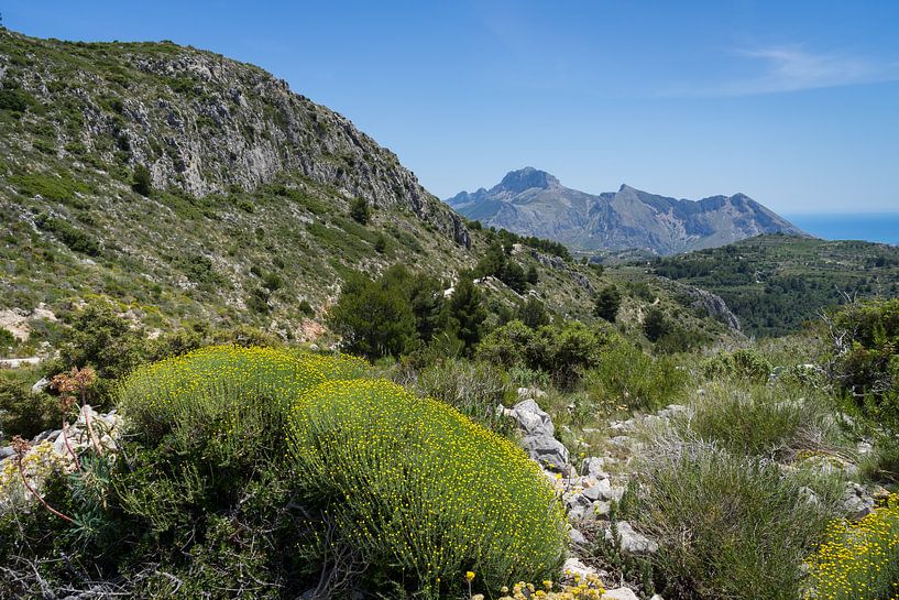 Paysage de montagne verte près de la côte méditerranéenne par Adriana Mueller