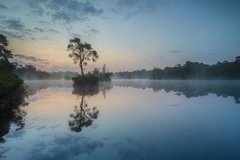 Sonnenaufgang und Morgennebel am Oisterwijkse Vennen von Original Mostert Photography