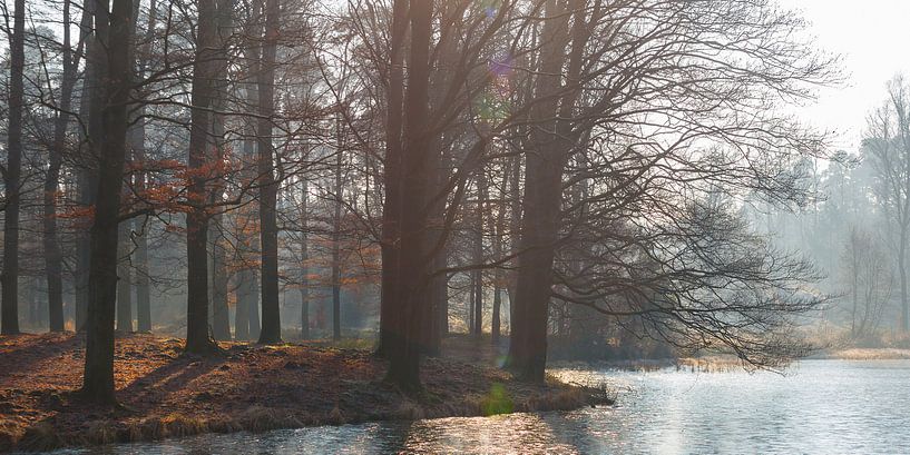 Forest lake in the Crown Estate Het Loo by Evert Jan Kip