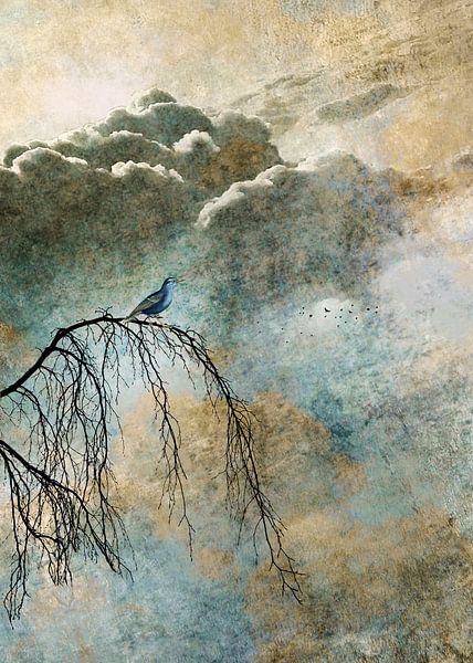 HEAVENLY BIRD IIb von Pia Schneider