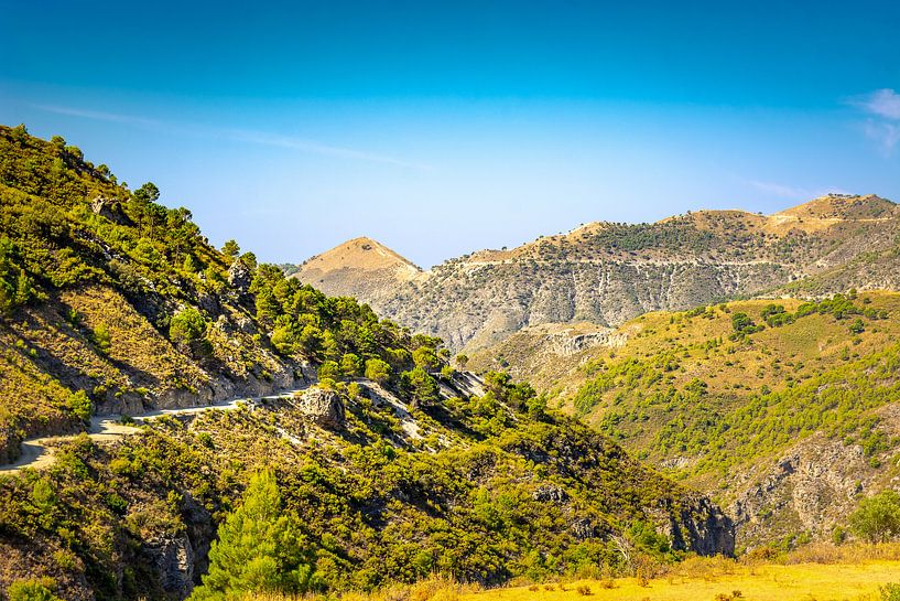 Pad door de bergen von Bernardine de Laat