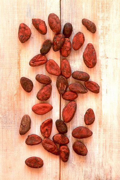 Cocoa by Thomas Jäger