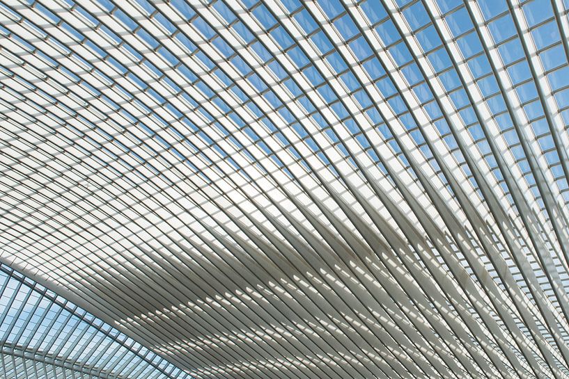 Futuristic roof of Liège-Guillemins station by Wim Stolwerk