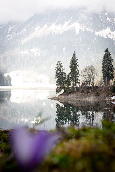 Oberer See, Schweiz von Hottentot