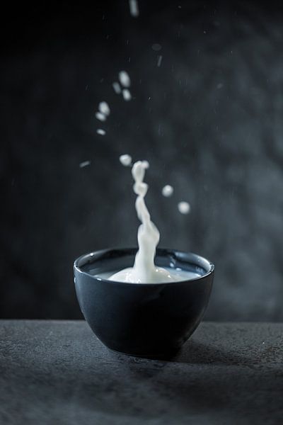 Milk bowl by Sergej Nickel