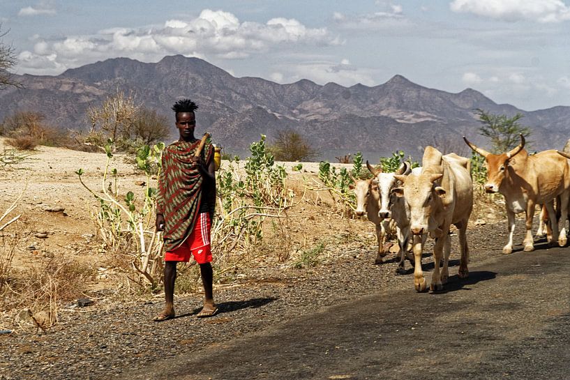 herder met koeien von rene schuiling