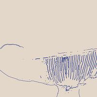 Kinoko - Paddenstoel Lijn Print