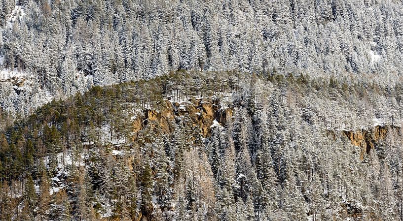 Verschneiter Berghang von Wouter van Woensel