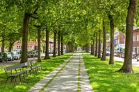 Breda - Belcrum Speelhuislaan