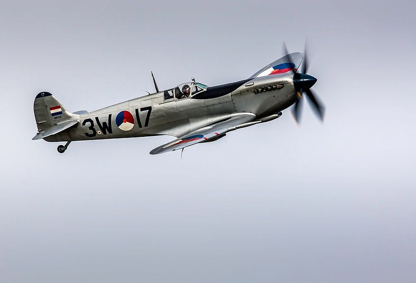 Supermarine Spitfire Mk. IX van Nildo Scoop
