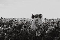 Liefde tussen zusjes - Fotografie