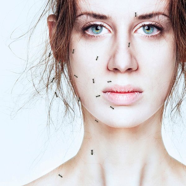 Ants von Patrycja Izabela Lassocinska