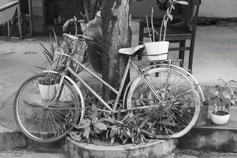 Bike and plants by Inge Hogenbijl