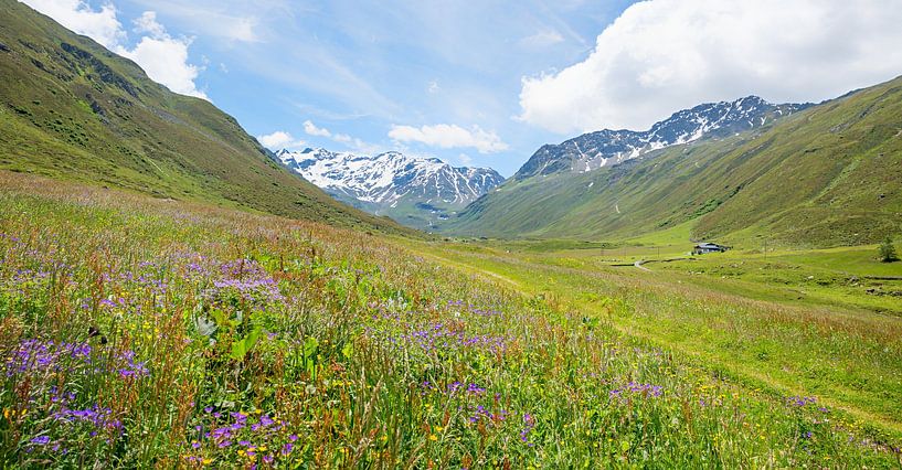 Frühling im Dischmatal bei Davos Schweizer Alpen von SusaZoom