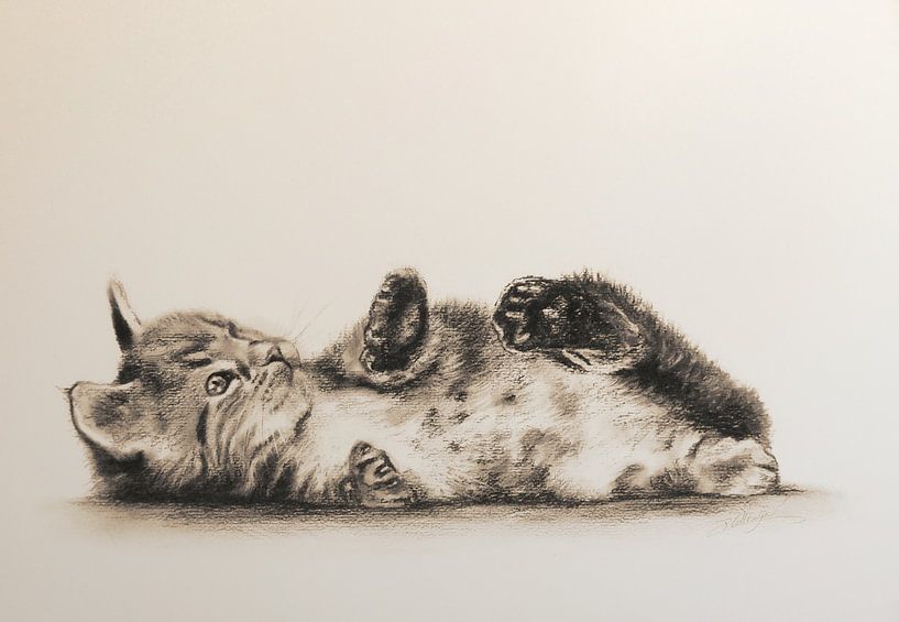 Nahla by Paula Collewijn