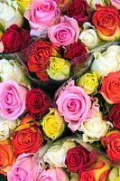 Roses and romance for sale