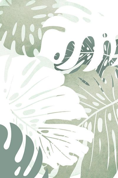 Monstera by Steffen Gierok