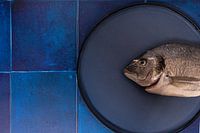 Tête de poisson Dorade