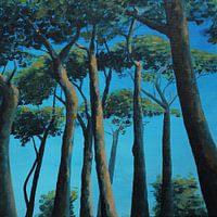 Unter den Kiefern in der Sonne