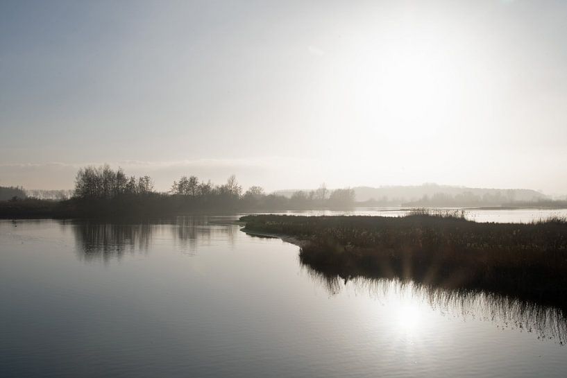 Sonne im Bach im Naturschutzgebiet Braakman in Zeeland von Anne Hana