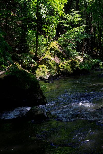 Romance par Thomas Jäger