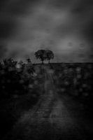 Landstraße im Sturm