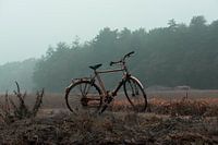 Ehrenplatz für Radfahrer