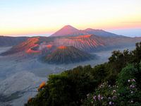 Bromo - Malerischer Vulkan auf Java