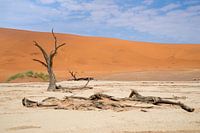 Plat profond, délabrement